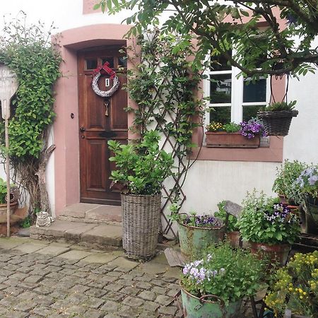All Seasons Bed & Breakfast Kerpen  외부 사진