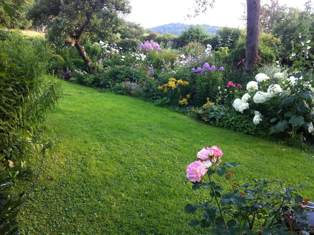 All Seasons Bed & Breakfast Kerpen  외부 사진