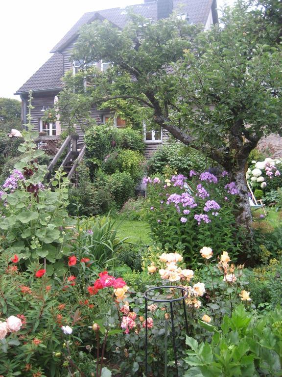 All Seasons Bed & Breakfast Kerpen  외부 사진